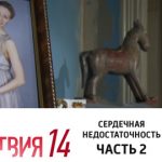 14 сезон, 6 серия (Сердечная недостаточность. Часть 2)