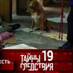 19 сезон, 5 серия (Слепая месть)